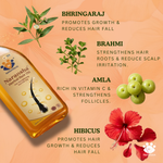 Root Revival Combo | Herbal Hair Oil & Shampoo Combo | Hair Fall Control, Strong Roots & Healthy Shine
