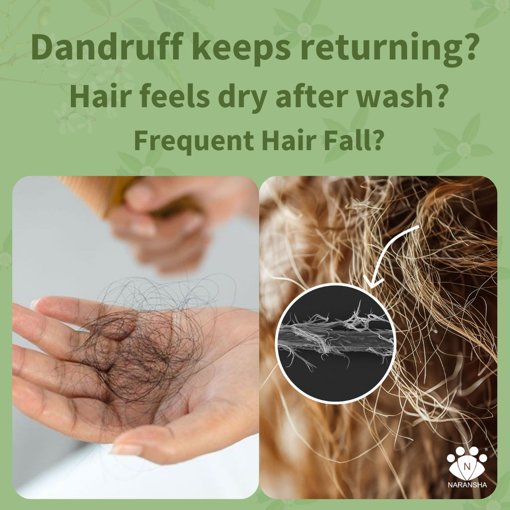 Herbal Shampoo for Hair Growth & Hair Fall Control with Shikakai & Reetha Extracts (200 ml)