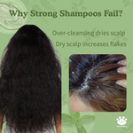Herbal Shampoo for Hair Growth & Hair Fall Control with Shikakai & Reetha Extracts (200 ml)
