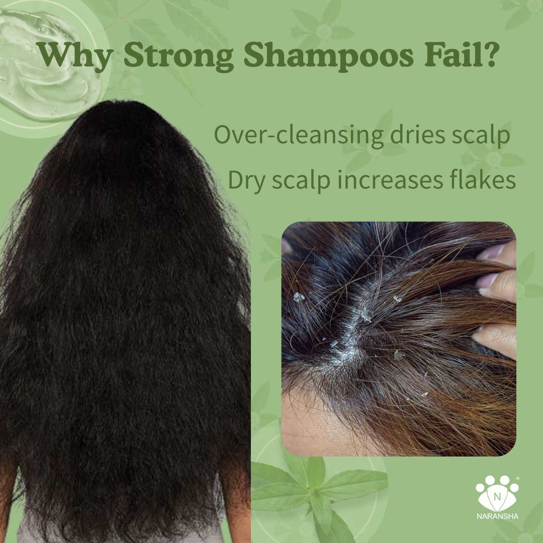 Herbal Shampoo for Hair Growth & Hair Fall Control with Shikakai & Reetha Extracts (200 ml)